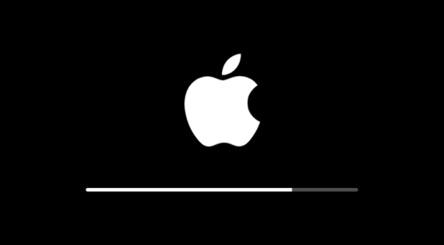 Apple Inc. company
